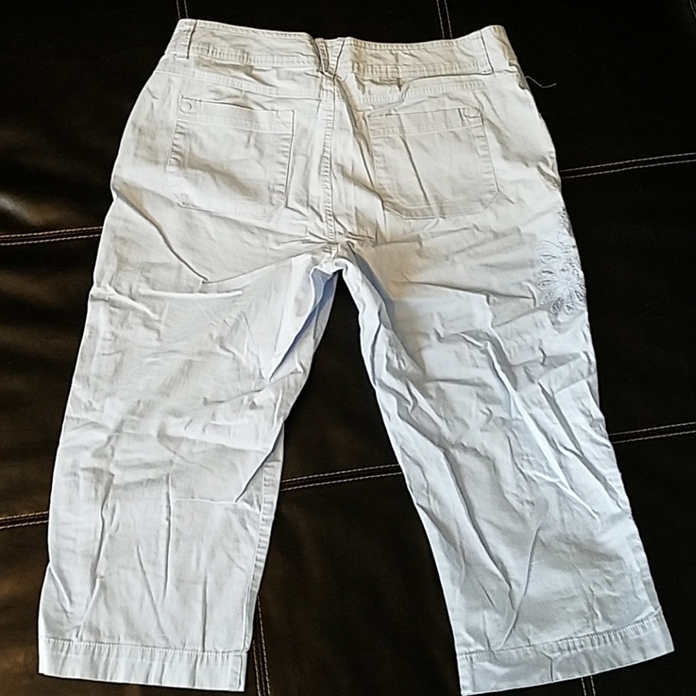 Gloria Vanderbilt Blue Embroidered Capris Size 12 - Picture 2 of 8